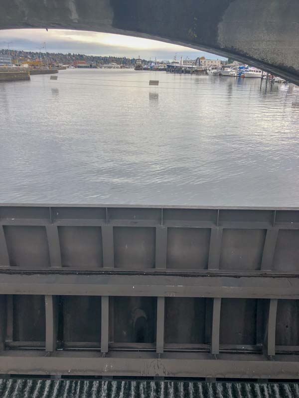 A view from the Ballard Locks