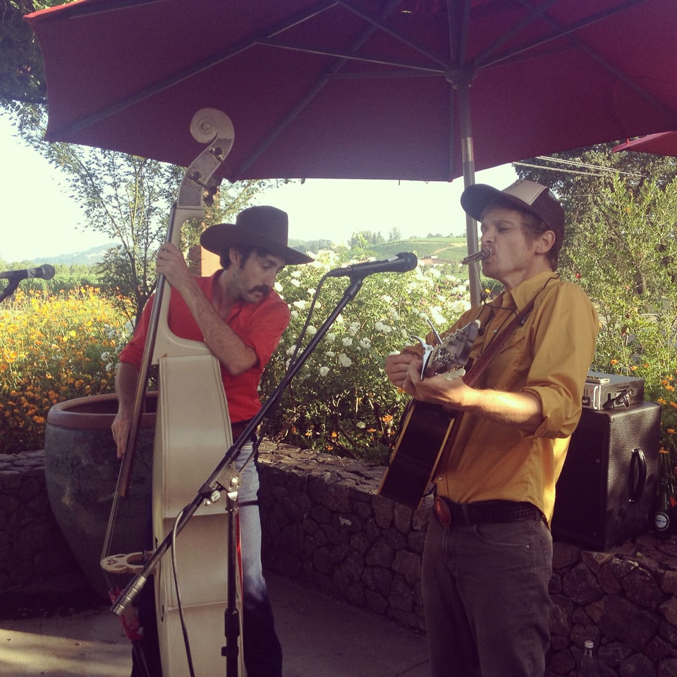 Easy Leaves playing at Hawkes wine