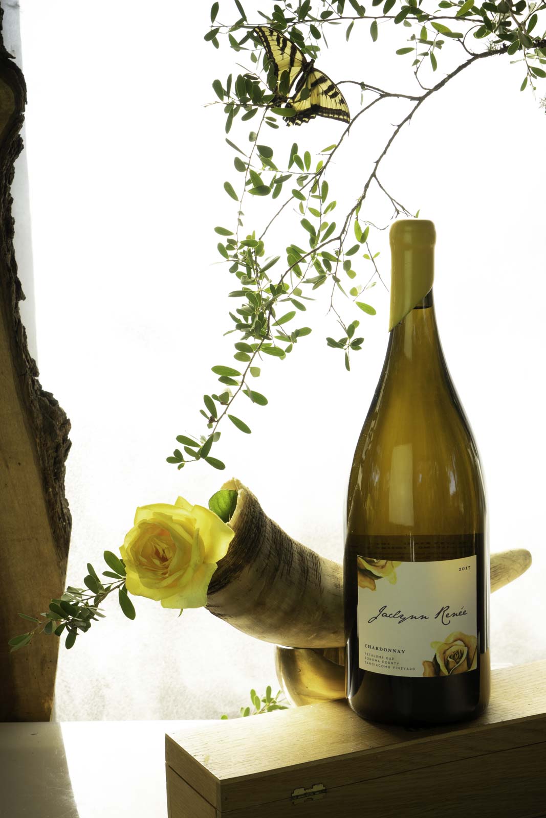 Jaclynn REnee Wines Lifestyle Photography