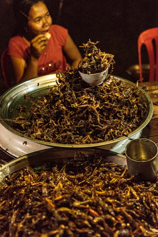 Fried bugs for sale at a market in Cambodia